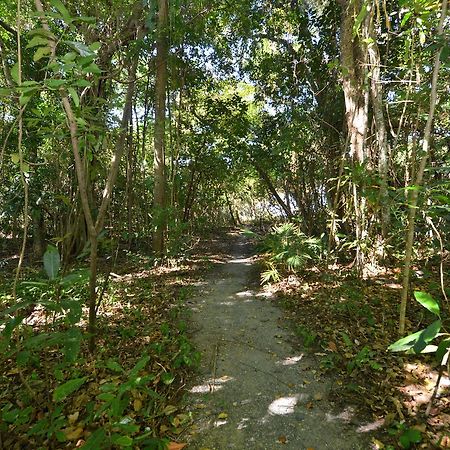 Sea La Villa Port Douglas Extérieur photo